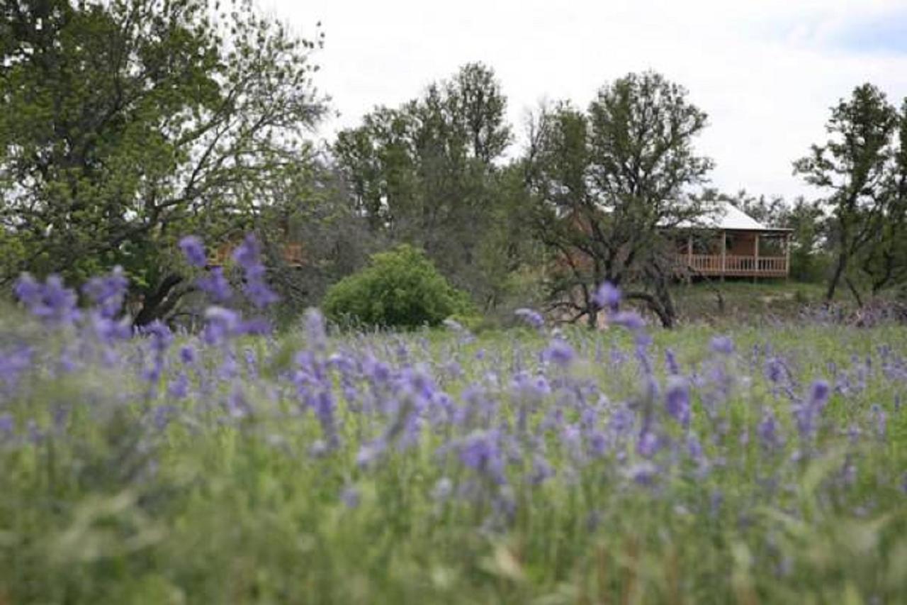 City On A Hill At Spring Creek Bed & Breakfast Fredericksburg Exterior photo