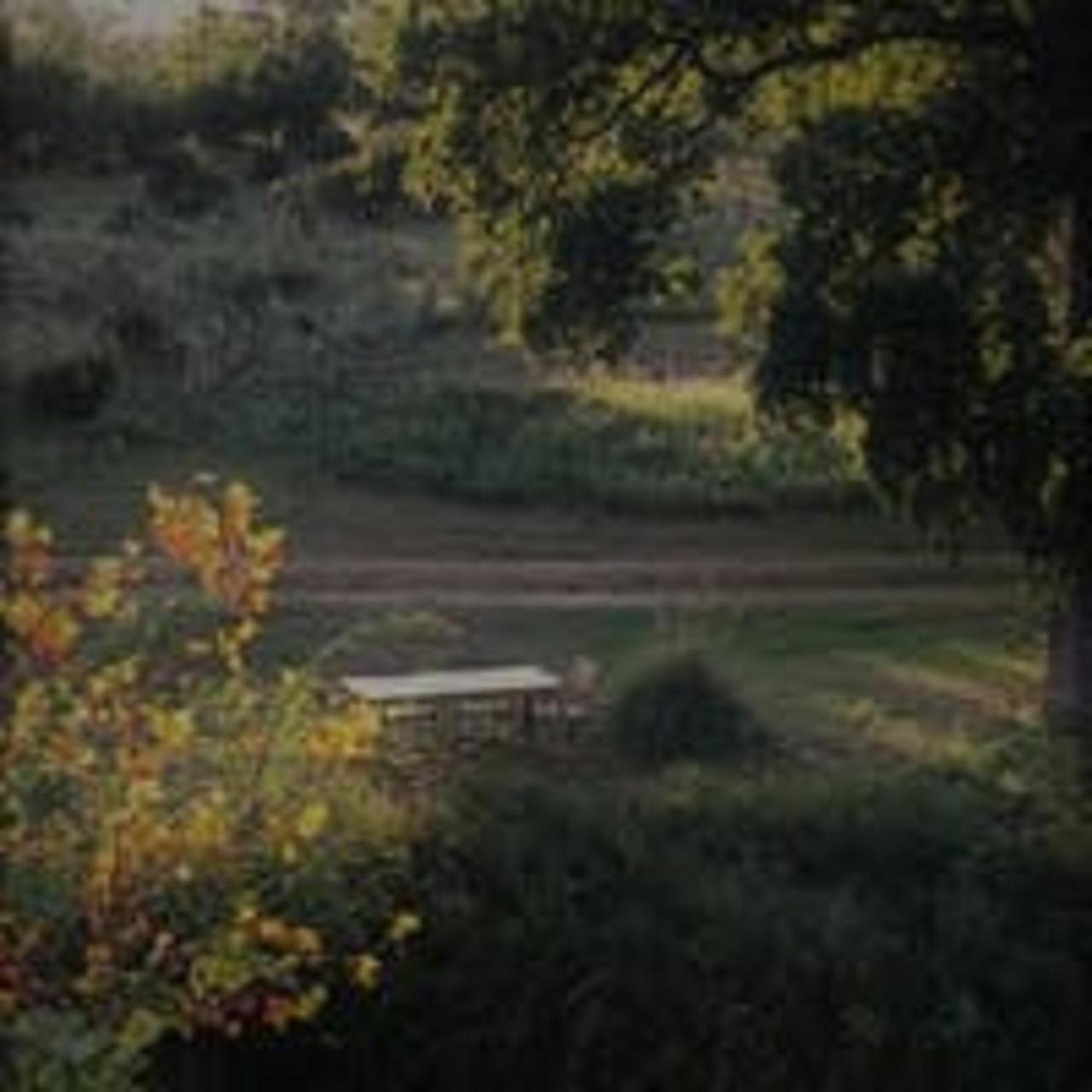 City On A Hill At Spring Creek Bed & Breakfast Fredericksburg Exterior photo